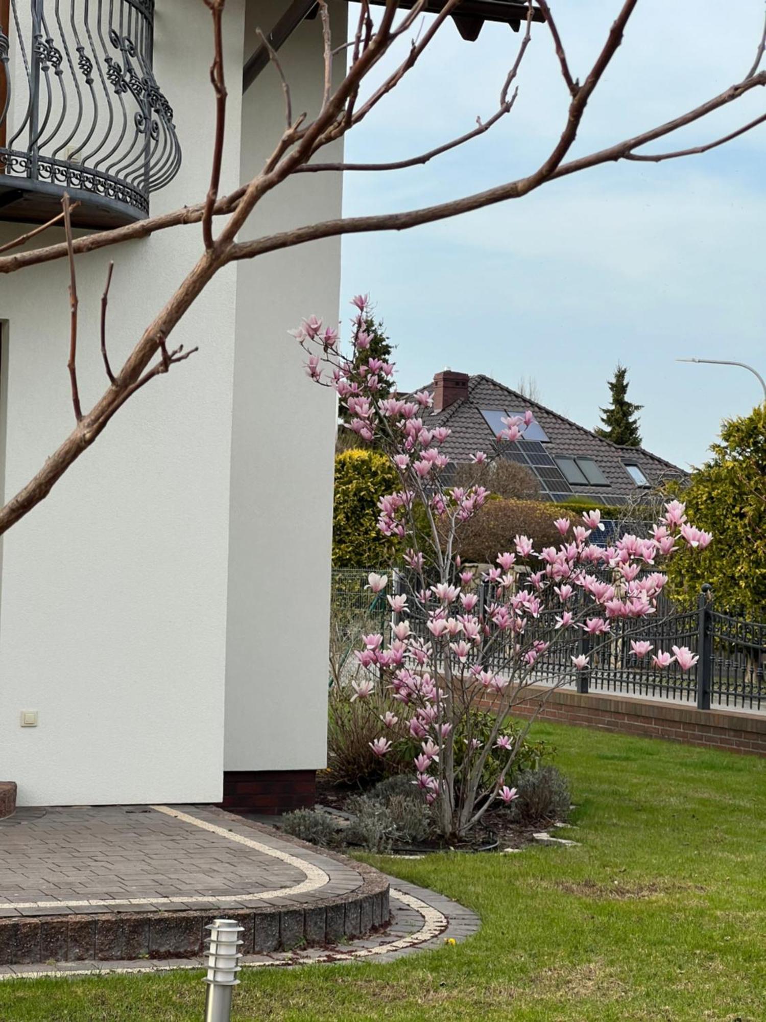 Apartamenty Bursztynowe Dębki 外观 照片